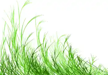 Fotografický efekt z kategorie Různé № 115932