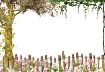 Fotografický efekt z kategorie Různé № 115954