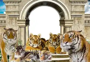 Fotografický efekt z kategorie Různé № 116203