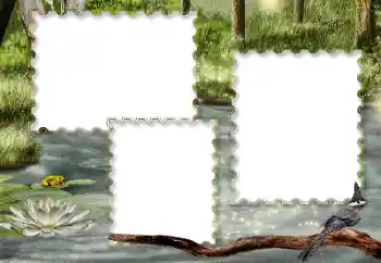 Fotografický efekt z kategorie Různé № 116216