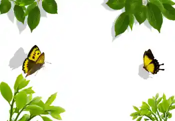 Fotografický efekt z kategorie Různé № 117282