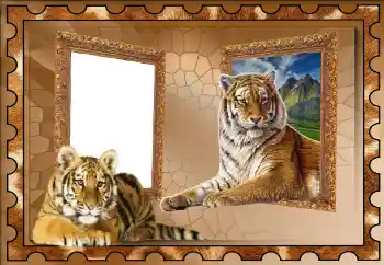 Fotografický efekt z kategorie Různé № 117310