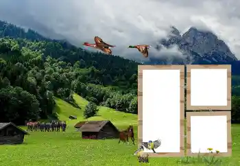 Fotografický efekt z kategorie Různé № 118908