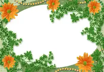 Fotografický efekt z kategorie Různé № 118929