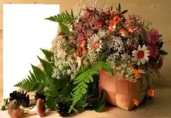 Fotografický efekt z kategorie Různé № 120020