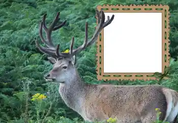 Fotografický efekt z kategorie Různé № 121049