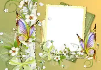 Fotografický efekt z kategorie Různé № 121056