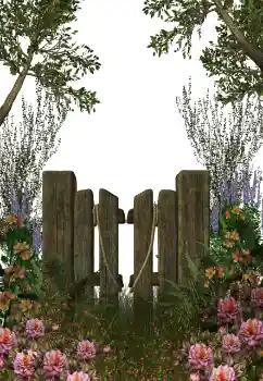 Fotografický efekt z kategorie Různé № 123212