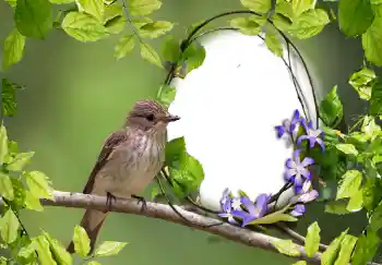 Fotografický efekt z kategorie Různé № 123219