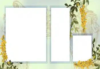 Fotografický efekt z kategorie Různé № 123242