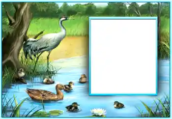 Fotografický efekt z kategorie Různé № 124254