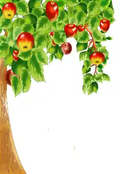 Fotografický efekt z kategorie Různé № 124400