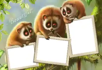 Fotografický efekt z kategorie Různé № 124434