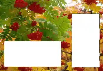 Fotografický efekt z kategorie Různé № 124596