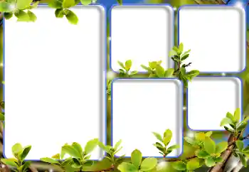 Fotografický efekt z kategorie Různé № 125893