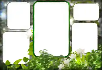 Fotografický efekt z kategorie Různé № 125911