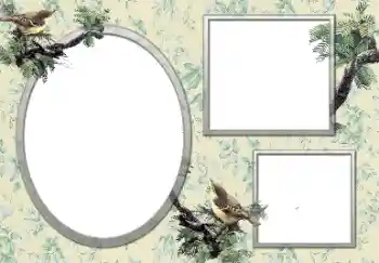 Fotografický efekt z kategorie Různé № 127132