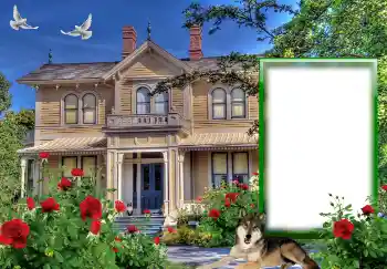 Fotografický efekt z kategorie Různé № 127146