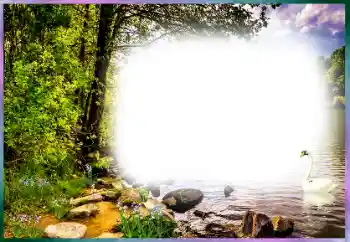 Fotografický efekt z kategorie Různé № 127169