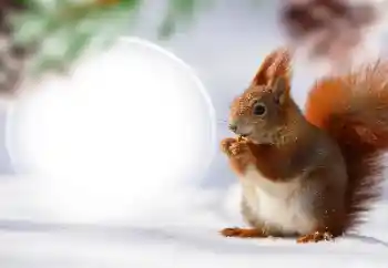 Fotografický efekt z kategorie Různé № 128568