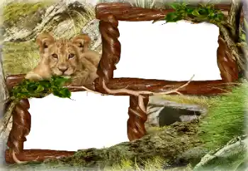 Fotografický efekt z kategorie Různé № 128637