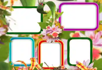 Fotografický efekt z kategorie Různé № 129813