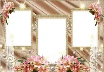 Fotografický efekt z kategorie Různé № 129866