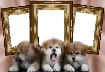 Fotografický efekt z kategorie Různé № 130156