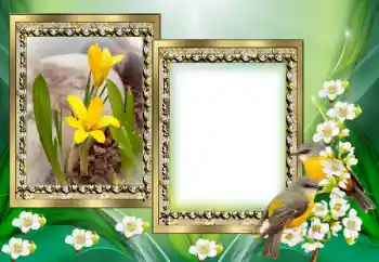 Fotografický efekt z kategorie Různé № 130649