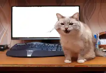 Fotografický efekt z kategorie Různé № 130940