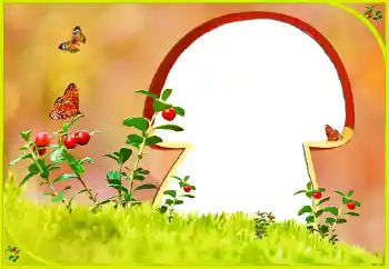 Fotografický efekt z kategorie Různé № 131022