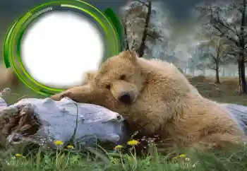 Fotografický efekt z kategorie Různé № 131305