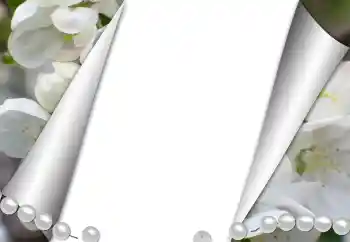 Fotografický efekt z kategorie Různé № 131361