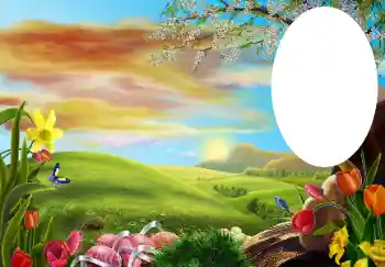 Fotografický efekt z kategorie Různé № 131534