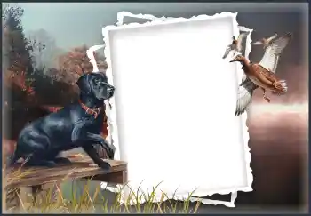 Fotografický efekt z kategorie Různé № 132874