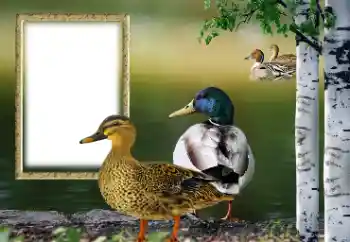 Fotografický efekt z kategorie Různé № 132884