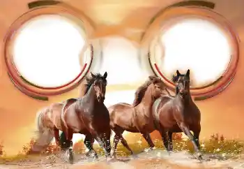 Fotografický efekt z kategorie Různé № 133286