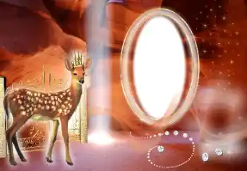 Fotografický efekt z kategorie Různé № 134444