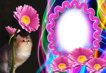 Fotografický efekt z kategorie Různé № 138543