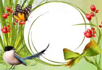 Fotografický efekt z kategorie Různé № 138546