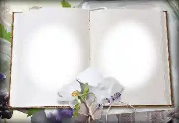 Fotografický efekt z kategorie Různé № 139914