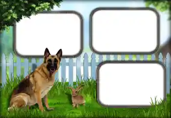 Fotografický efekt z kategorie Různé № 139921