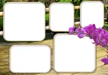 Fotografický efekt z kategorie Různé № 140964