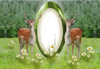 Fotografický efekt z kategorie Různé № 142259