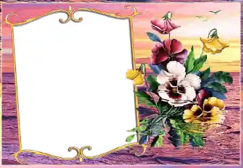 Fotografický efekt z kategorie Různé № 143511