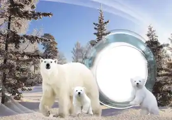 Fotografický efekt z kategorie Různé № 143683