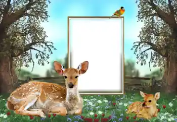 Fotografický efekt z kategorie Různé № 143762