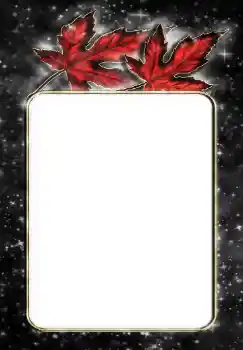 Fotografický efekt z kategorie Různé № 144867