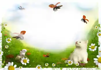 Fotografický efekt z kategorie Různé № 144908