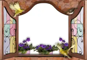 Fotografický efekt z kategorie Různé № 145186